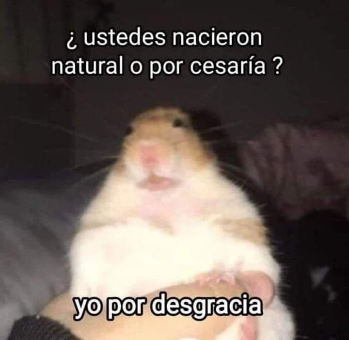 00:00 (@00hrmin) on Twitter photo 