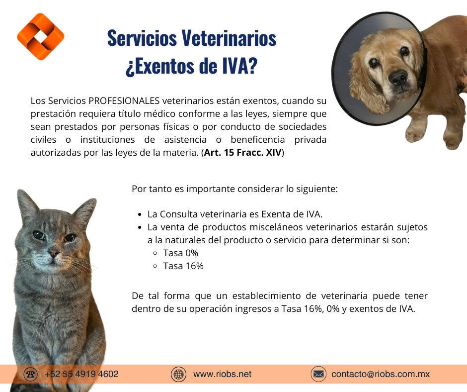 RioBSolutions's tweet image. #ServiciosVeterinarios #veterinarias #veterinaria #pymesméxico #negocios #impuestos #DeclaracionesFiscales #saludanimal #DeclaracionesFiscales