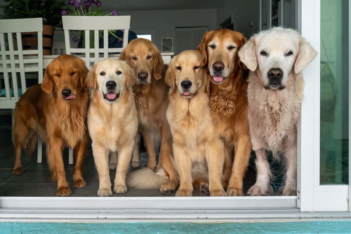 Missing CB today. The squad is easier at 5 but was completer at 6🤍