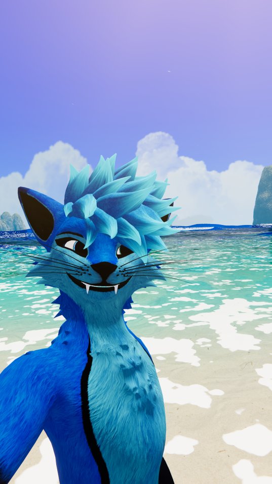 Cocky want boing boing!