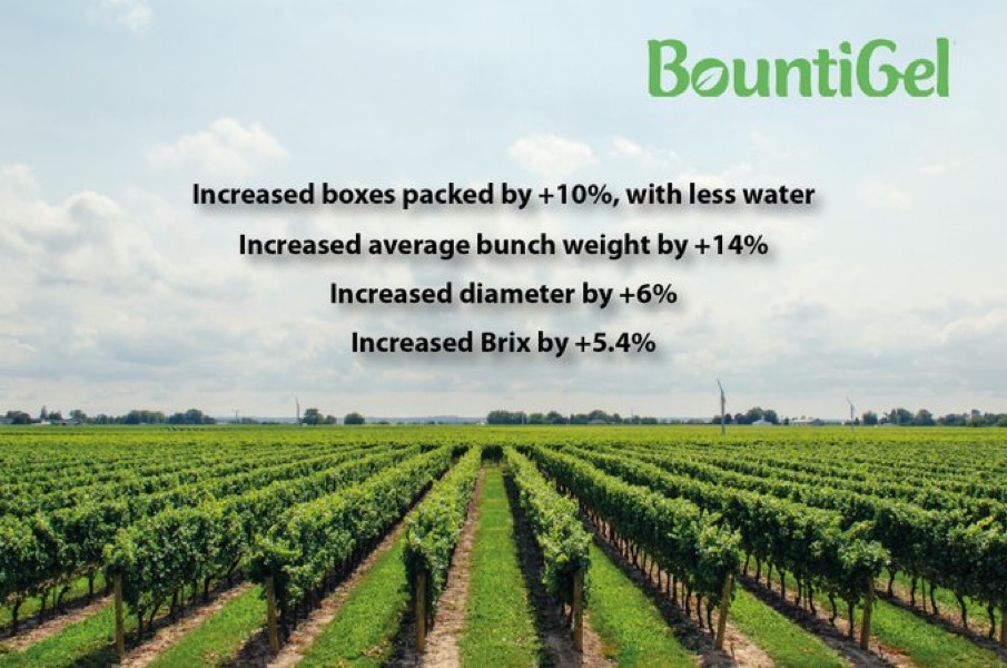 Maximize your vineyard’s potential with BountiGel®! 

This smart soil amendment absorbs 250x its weight in water &amp; releases moisture gradually, cutting irrigation needs by up to 25%. It locks in nutrients, boosting fertilizer efficiency and grape yields by up to 70%. Plus, it