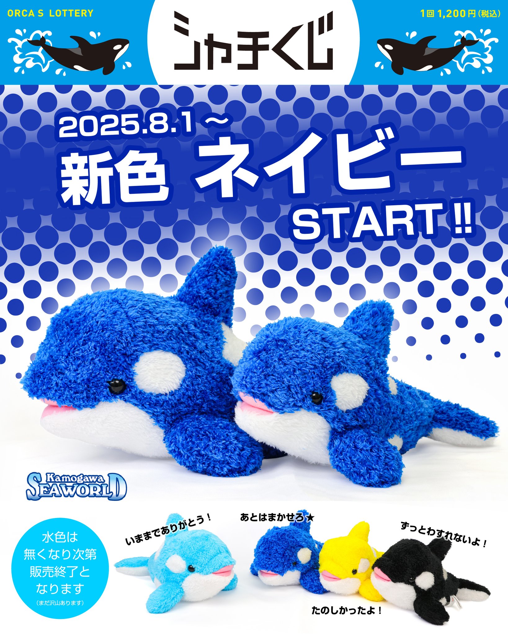 鴨川シーワールドシャチぬいぐるみ 鴨川シーワールド【公式】 on X: