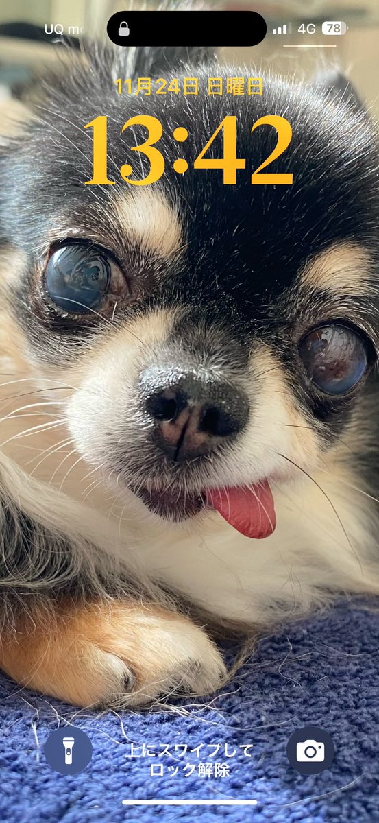 #見切れるほどドアップの画像くれ