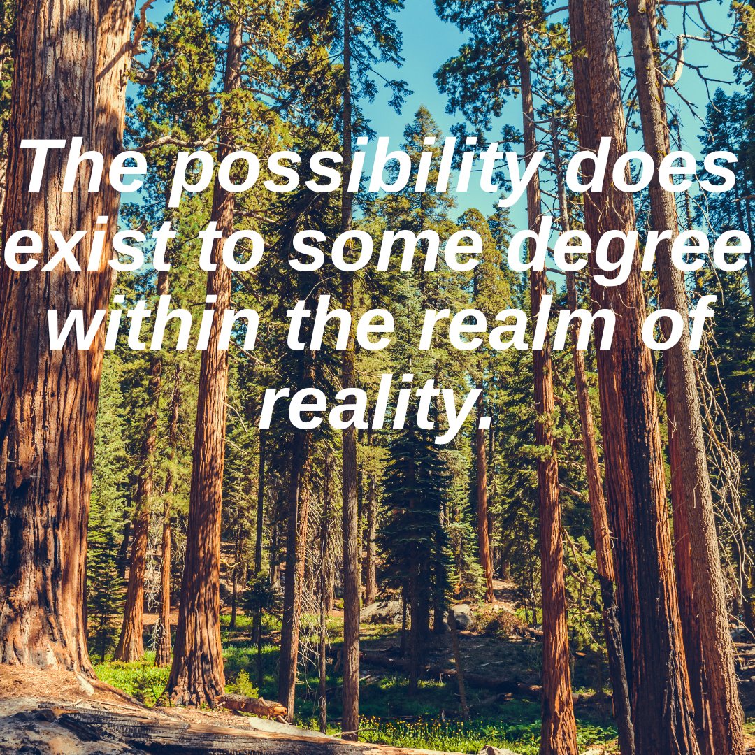 SlimesLibby's tweet image. The possibility does exist to some degree within the realm of reality. The words of my father.