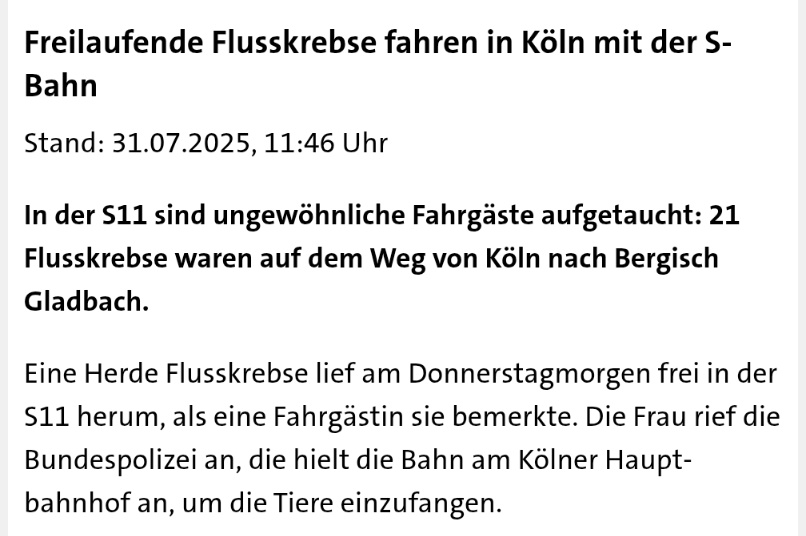 Bei welchen Fahrgästen würdet ihr die Polizei rufen?