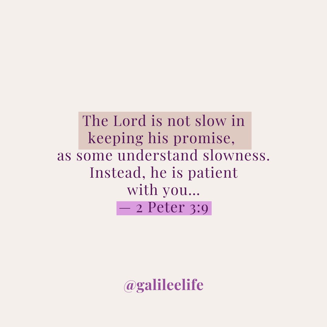 GalileeLife tweet media
