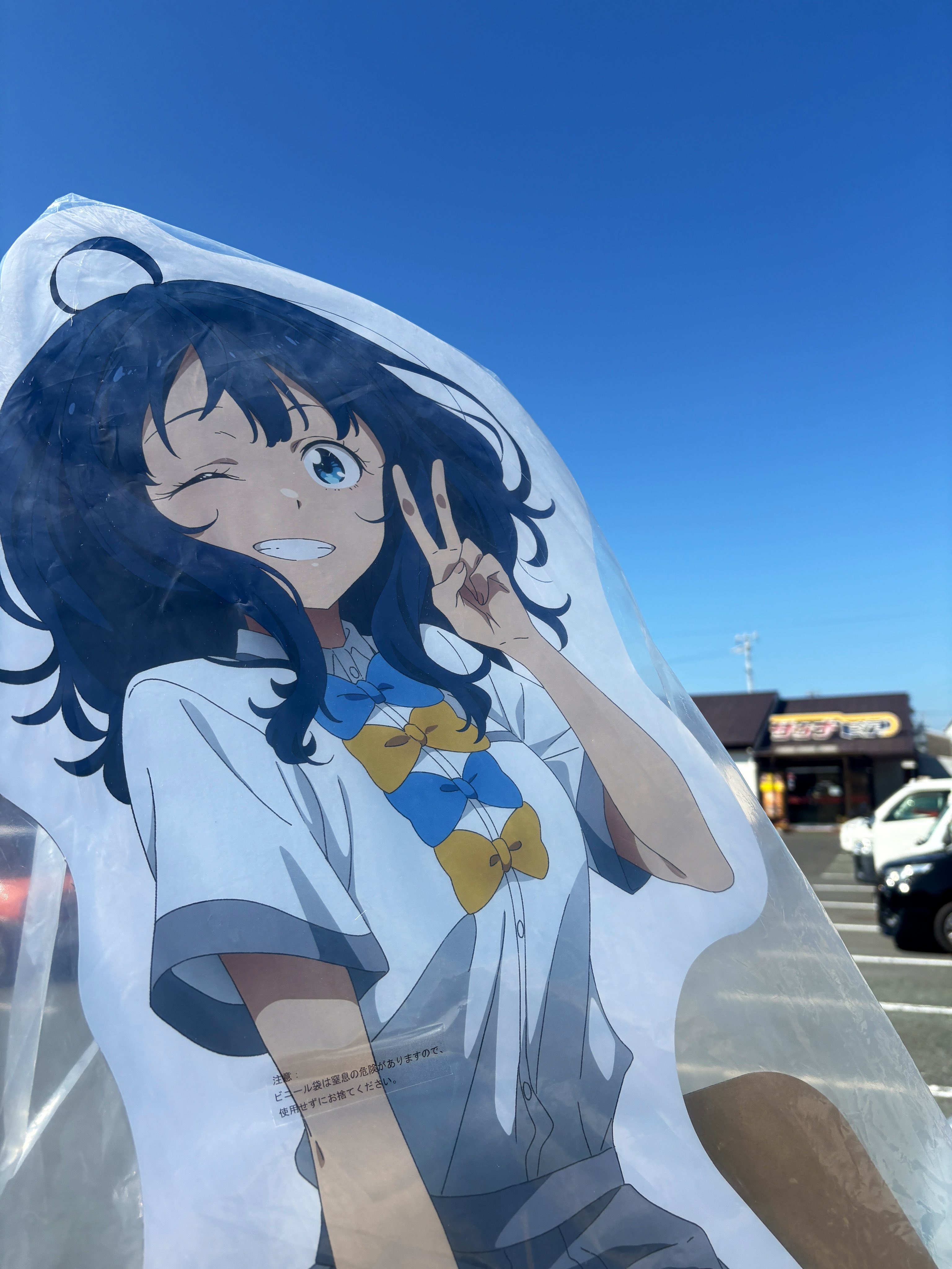 真夏の太陽を浴びて　檸檬　PR+ かにさん on X: 