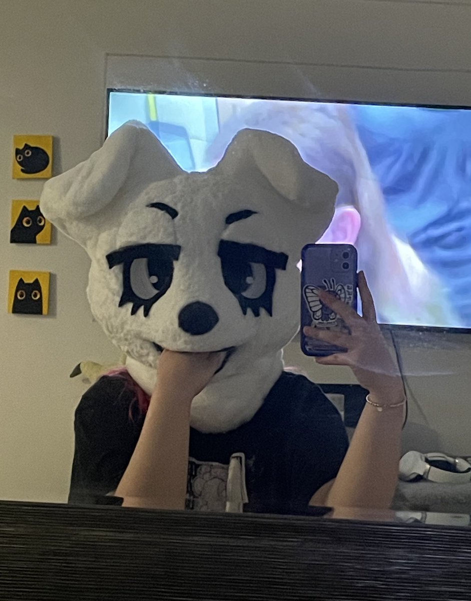 bearsockz's tweet photo. dog irl https://t.co/Ccr2vkgQ9r