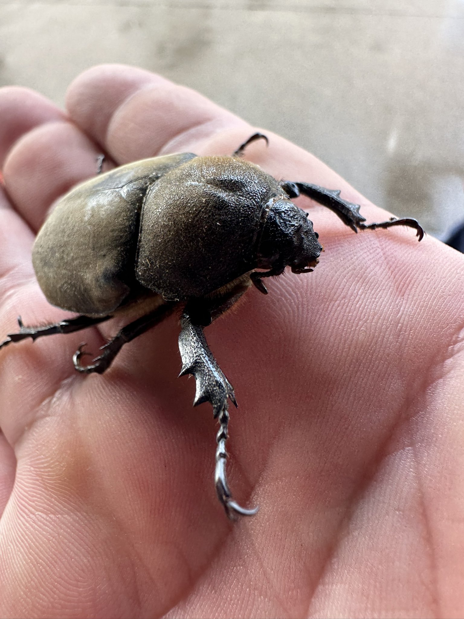 パパアングラー (@yutaro3225188) / X