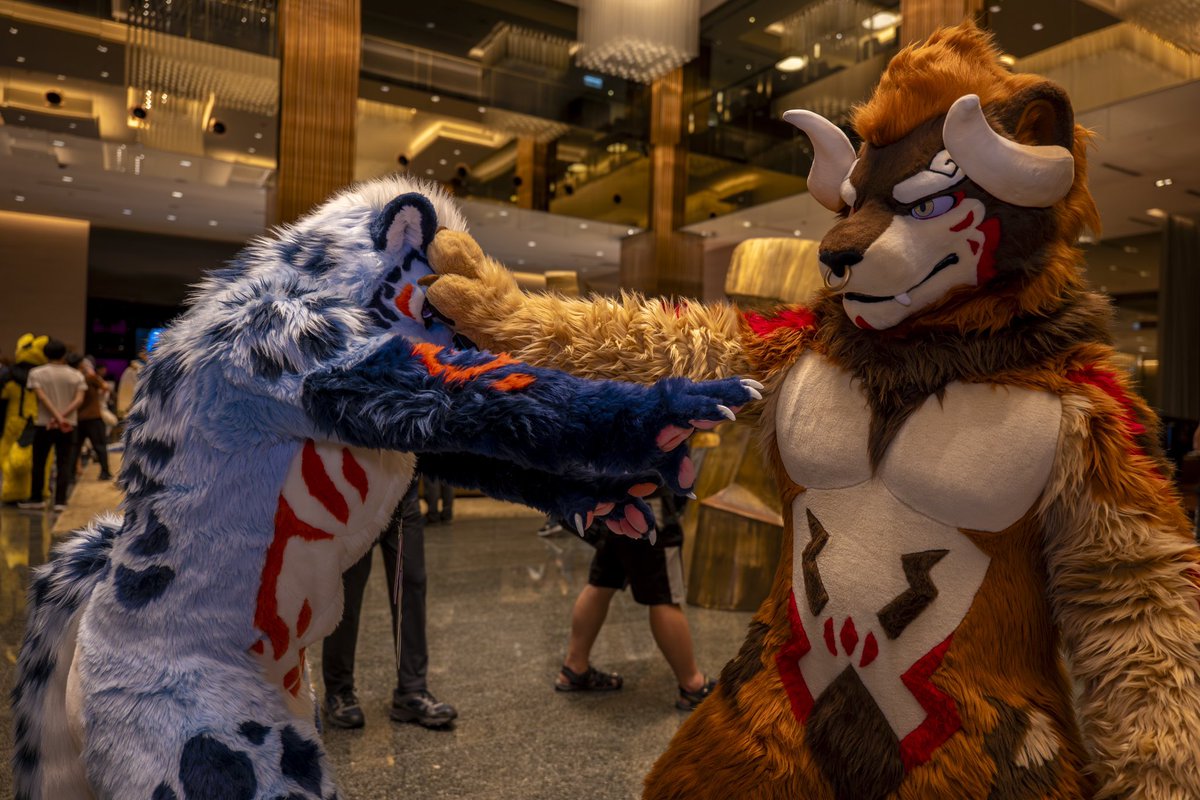 🐂🦁：生まれたばかりのがきだな😈
🐆：う... 手が…届かない😡

📷：<a href="/banna097/">焰虎_Tako</a> 
#FursuitFriday #UTFG2025
