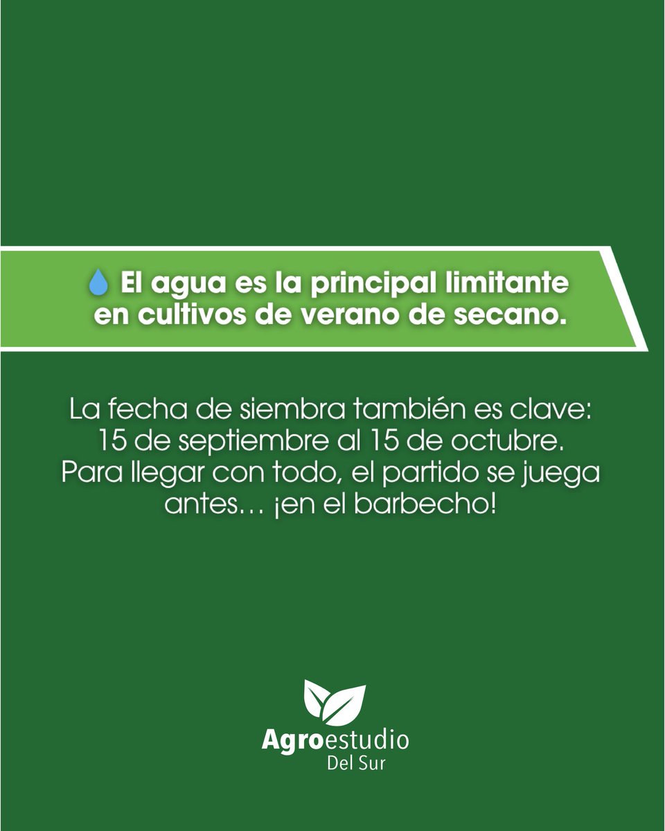 Agroestudiosur's tweet photo. 🌱 Manejo del barbecho para Maíz de primera. La siembra empieza mucho antes de entrar al campo. Planificar el barbecho es clave para sembrar en fecha óptima y lograr un cultivo exitoso.
-Acumulá agua. -Controlá malezas. -Prepará el suelo.
Con tiempo y estrategia, el maíz rinde + https://t.co/C1QYcmzAla