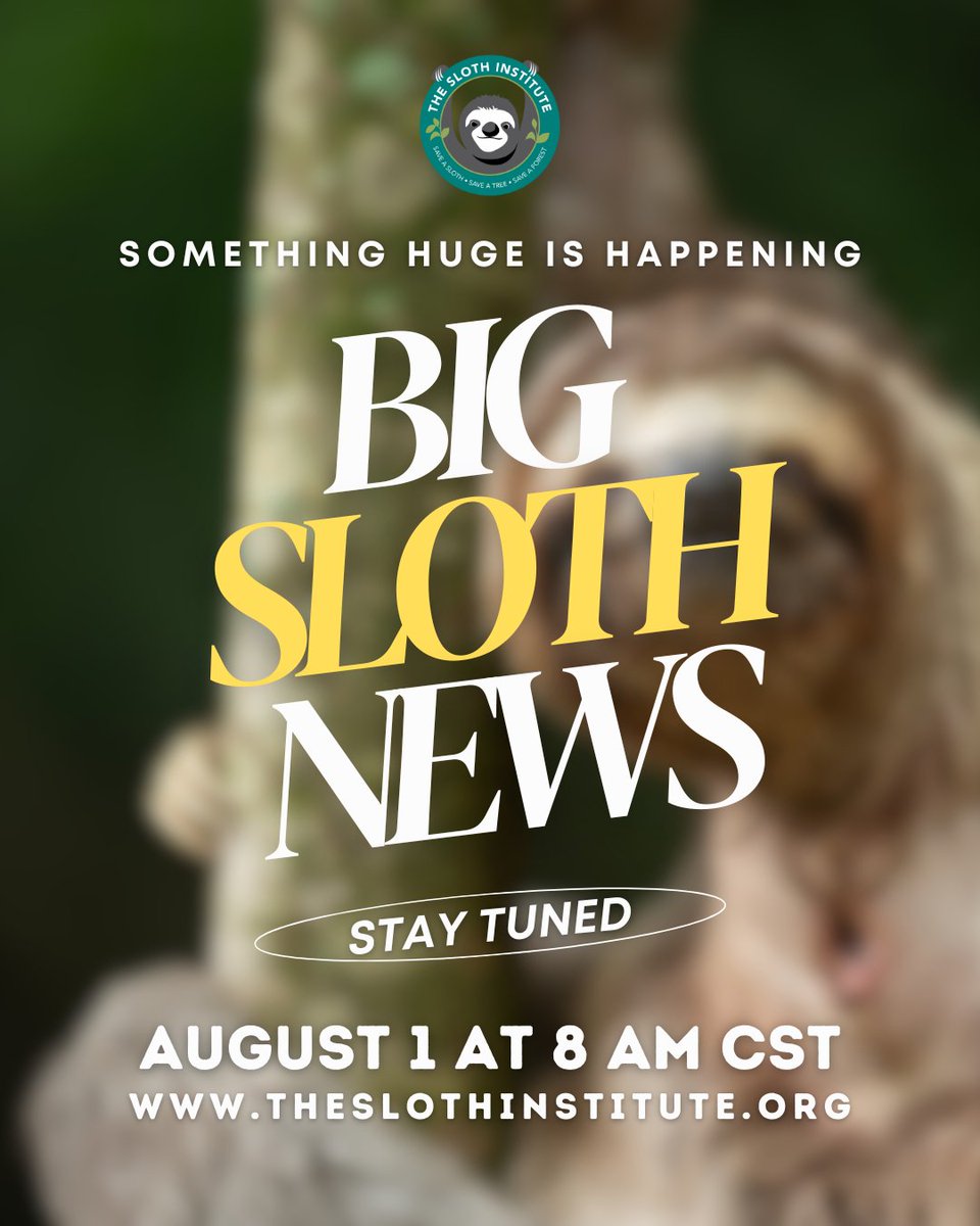 slothinstitute's tweet image. 🌟 🦥 Exciting sloth news alert! You won't want to miss this update from #TeamSloth! Can you guess the big news? Drop your guesses in the comments below!

#ExcitingNews #SlothLovers #SlothLove #TheSlothInstitute  #SlothLife #StayTuned