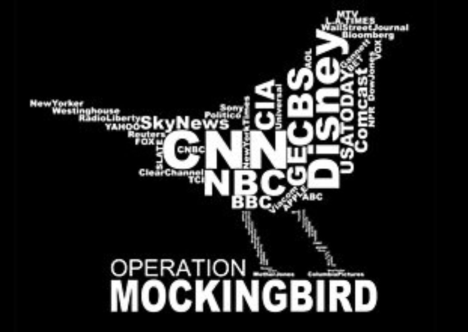 BREAKING: Tulsi Gabbard confirms that 'Operation Mockingbird' is still active within the CIA and says she’s working to shut it down.