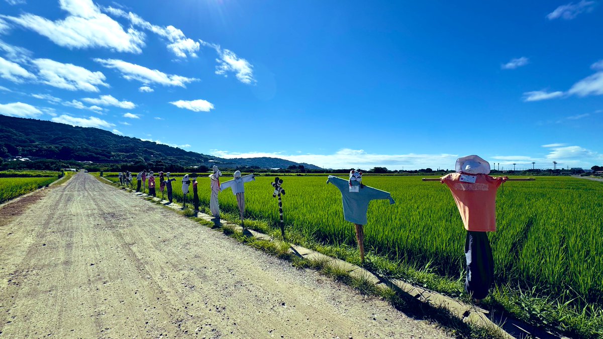 田んぼのファッションショー🧑‍🌾