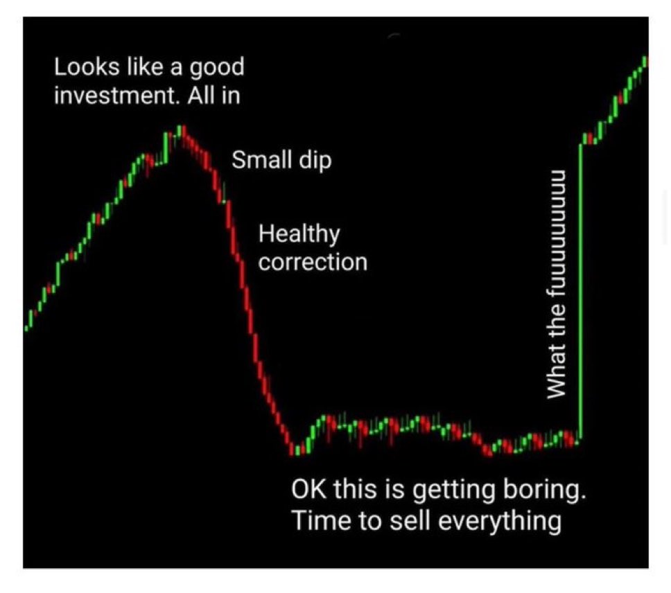 Short term $SoFi investors are going to miss the fun.

Cathie missed the first jump

The second jump will be even better which is why she’s buying back in🍿🇺🇸