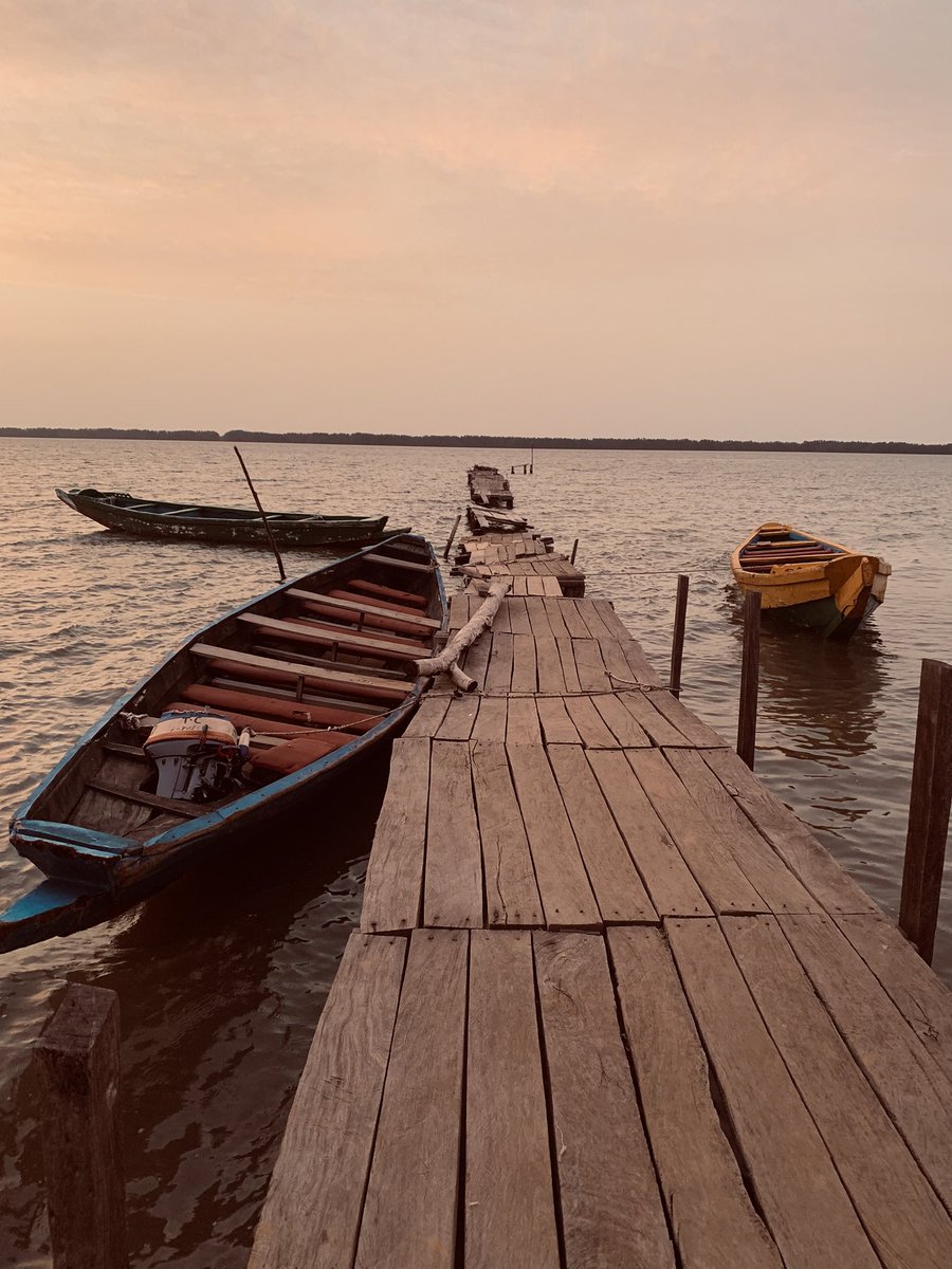 YahyaKrubally's tweet photo. The sky was blushing this evening, as if the heavens themselves were shy about the beauty they were painting across the Tendaba river. I stood at the edge of the old wooden jetty, phone camera in hand, soul wide open.
#utgsu
#studentsweek’25
#tendabazar https://t.co/wMvCEhC25k