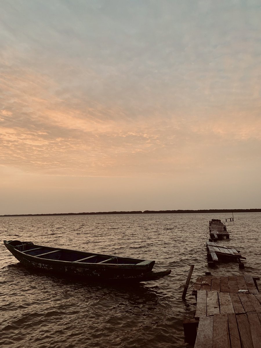YahyaKrubally's tweet photo. The sky was blushing this evening, as if the heavens themselves were shy about the beauty they were painting across the Tendaba river. I stood at the edge of the old wooden jetty, phone camera in hand, soul wide open.
#utgsu
#studentsweek’25
#tendabazar https://t.co/wMvCEhC25k