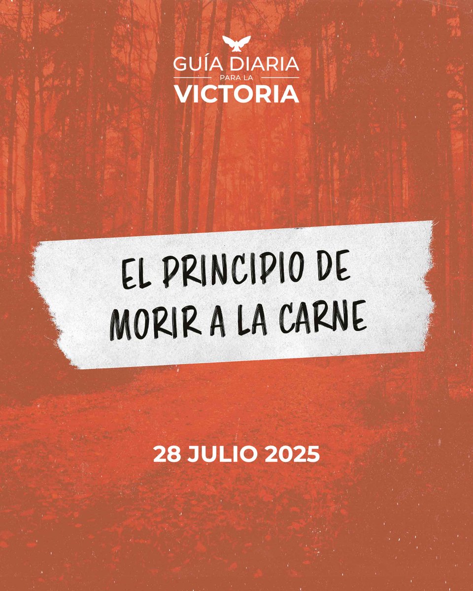 Padre, gracias por la nueva vida en Cristo Jesús. Hoy quiero renunciar a mi pasada manera de vivir, a los vicios, a lo oculto, a todo lo que hice sin tomarte en cuenta y empezar a vivir conforme a lo que ahora soy: tu hijo, ciudadano de tu reino...

wp.me/pbfW9D-5rm