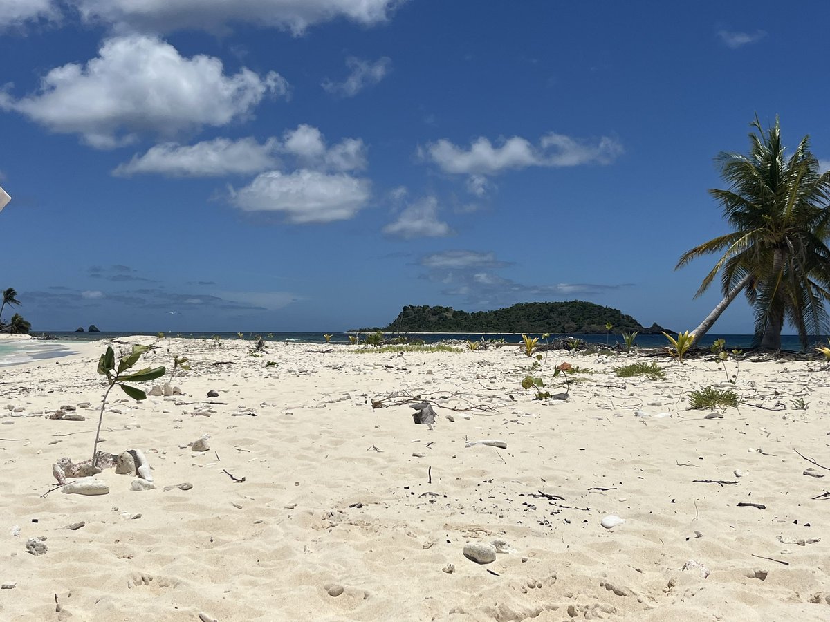 Larry Miller tweet media