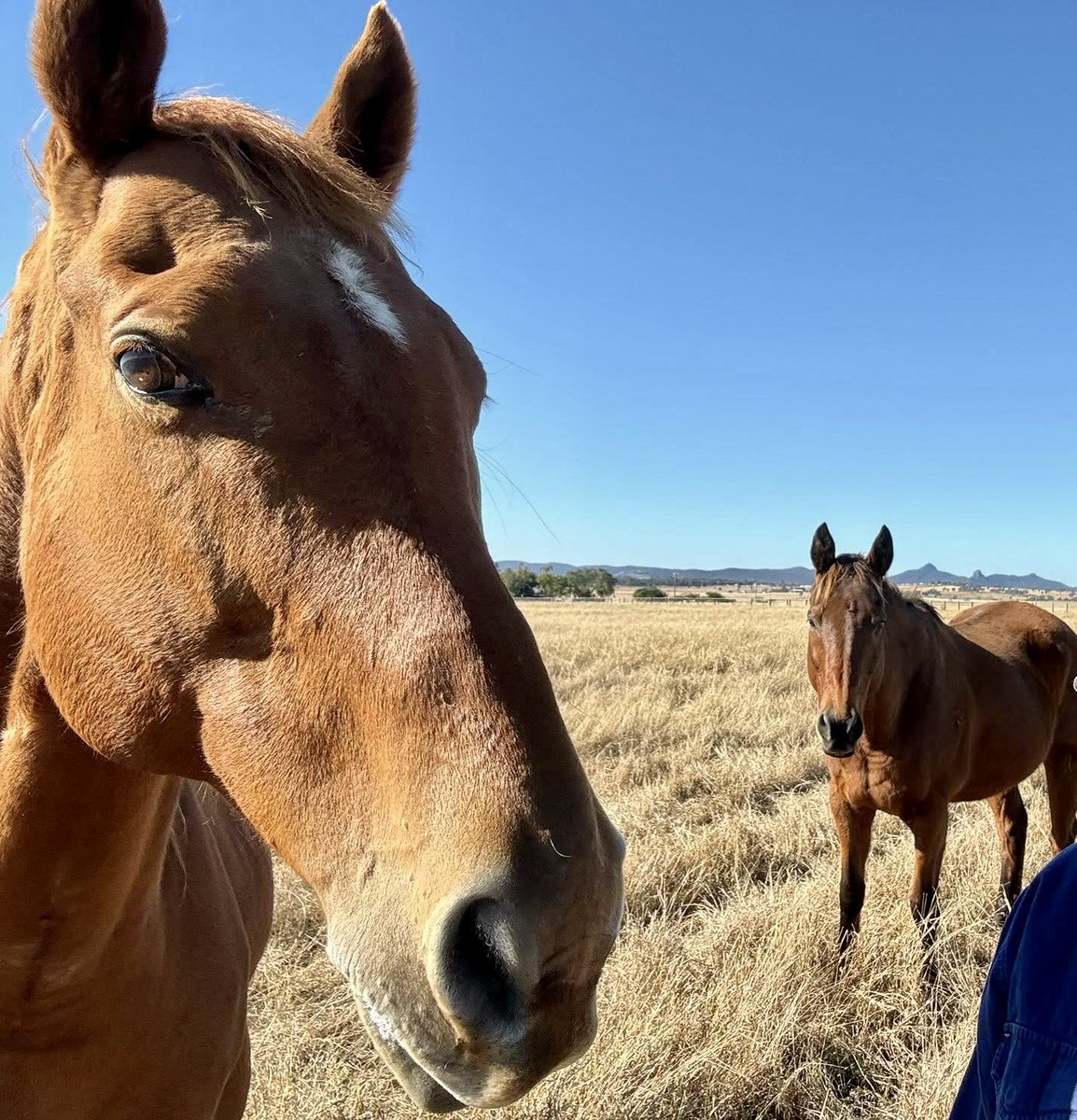 Mary Collier tweet media