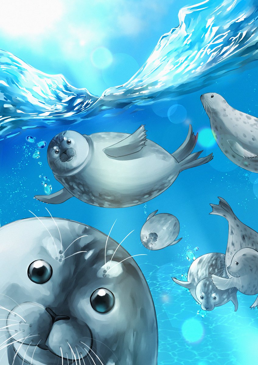 WECWaddenzee #Zeehondencentrum #アザラシ幼稚園 ポスターコンテスト