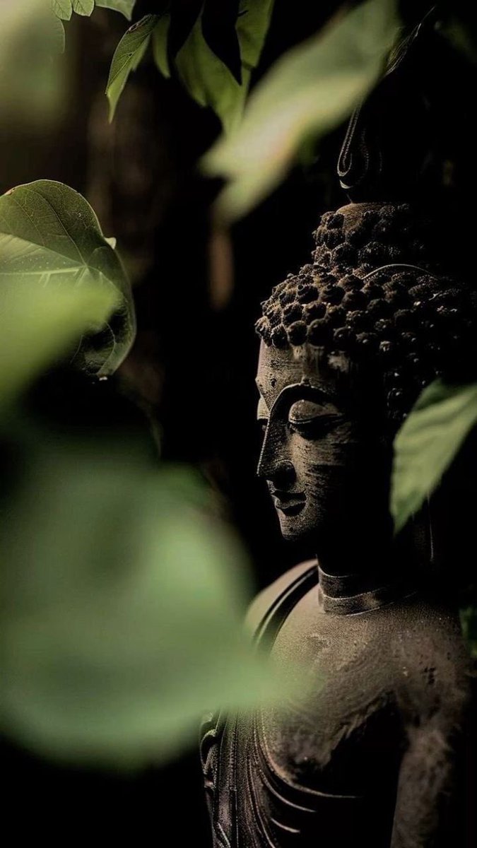 อย่าปล่อยให้ใจเราถูกลากไปตามอารมณ์
จงใช้สติเป็นเชือกดึงใจกลับมาอยู่กับปัจจุบัน
 
🙏 หลวงตามหาบัว

#ธรรมะเช้านี้