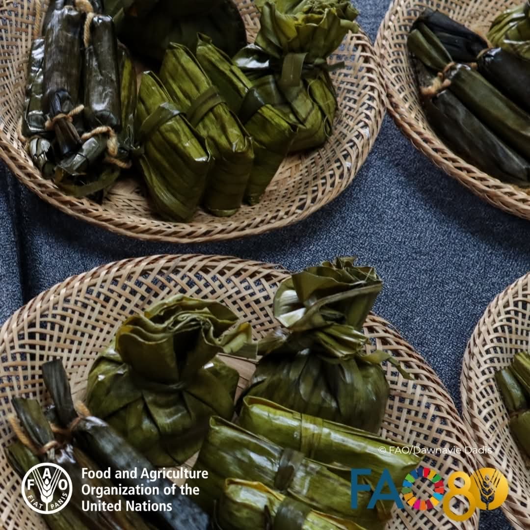 FAOPhilippines's tweet image. What do you call this Filipino delicacy in your local language?

#INSPIREHealthForum #IndigenousFoodSystems #biodiversity #CulturalHeritage