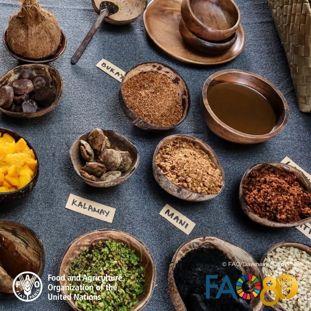 FAOPhilippines's tweet image. Heirloom recipes call for traditional Filipino ingredients. What local foods have you tried with these ingredients?

#INSPIREHealthForum #IndigenousFoodSystems #biodiversity #CulturalHeritage
