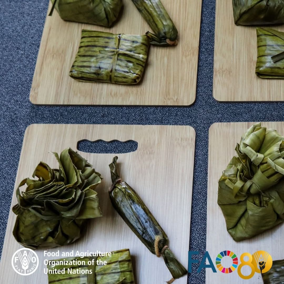 FAOPhilippines's tweet image. What do you call this Filipino delicacy in your local language?

#INSPIREHealthForum #IndigenousFoodSystems #biodiversity #CulturalHeritage
