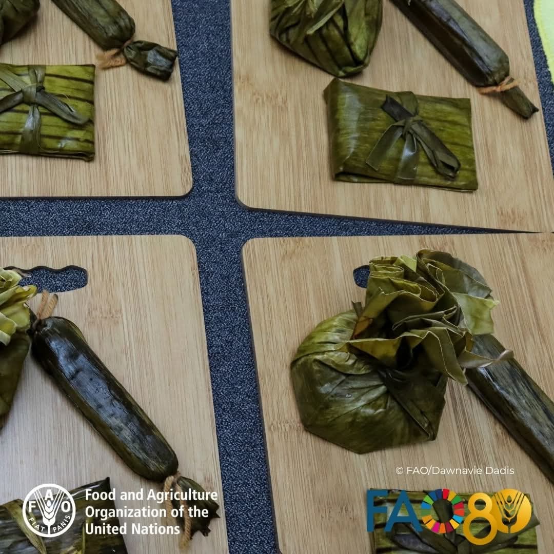 FAOPhilippines's tweet image. What do you call this Filipino delicacy in your local language?

#INSPIREHealthForum #IndigenousFoodSystems #biodiversity #CulturalHeritage