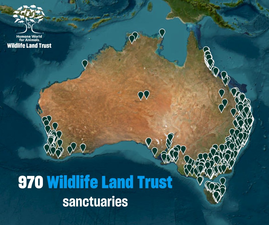 Wildlife Land Trust tweet media