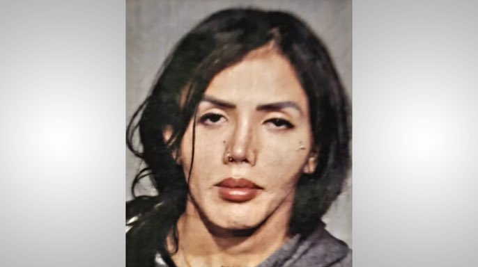 Homeland Security tweet media