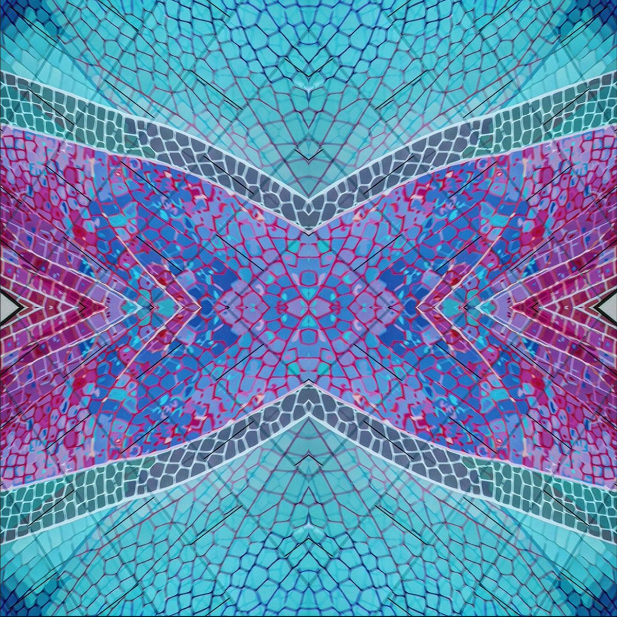 After Aug 7th, my last day with <a href="/X/">X</a> premium due to racist and ableist grok, shadow banning of posts through relevance algorithms, proof that Twitter allows harassment of people with disabilities, and lying help staff in the office who refuse to answer simple questions, I am going