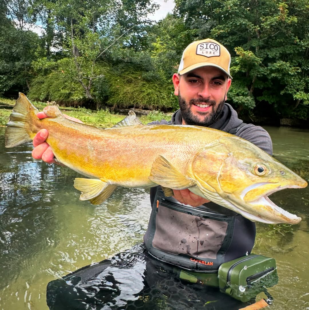 Name the fish...