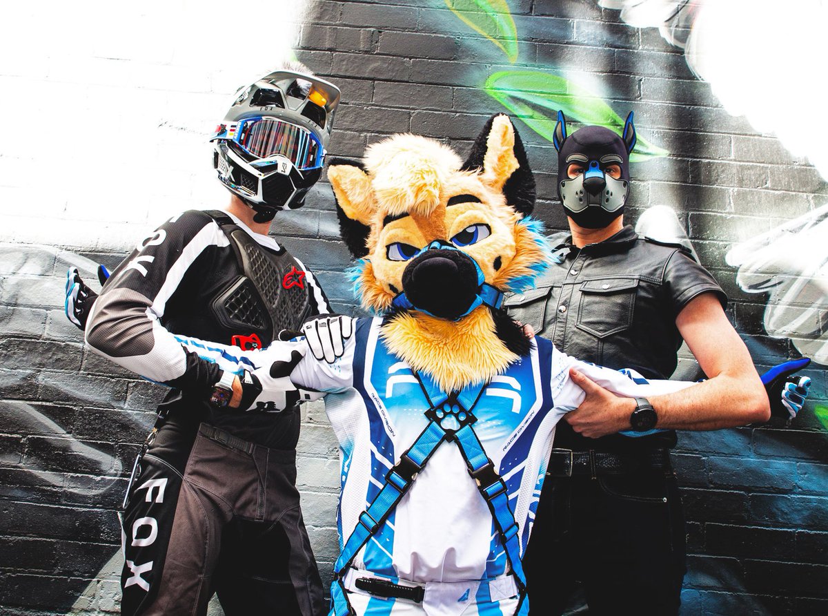 Muzzled, held back, and dangerous.

🐶 <a href="/WinterFolf2/">🇦🇺 Winter Folf 🔜 Aurawra, WAFF.</a> <a href="/CobaltK9/">Fane K9</a> 
📸 <a href="/CirrusBarks/">Cirrus</a>