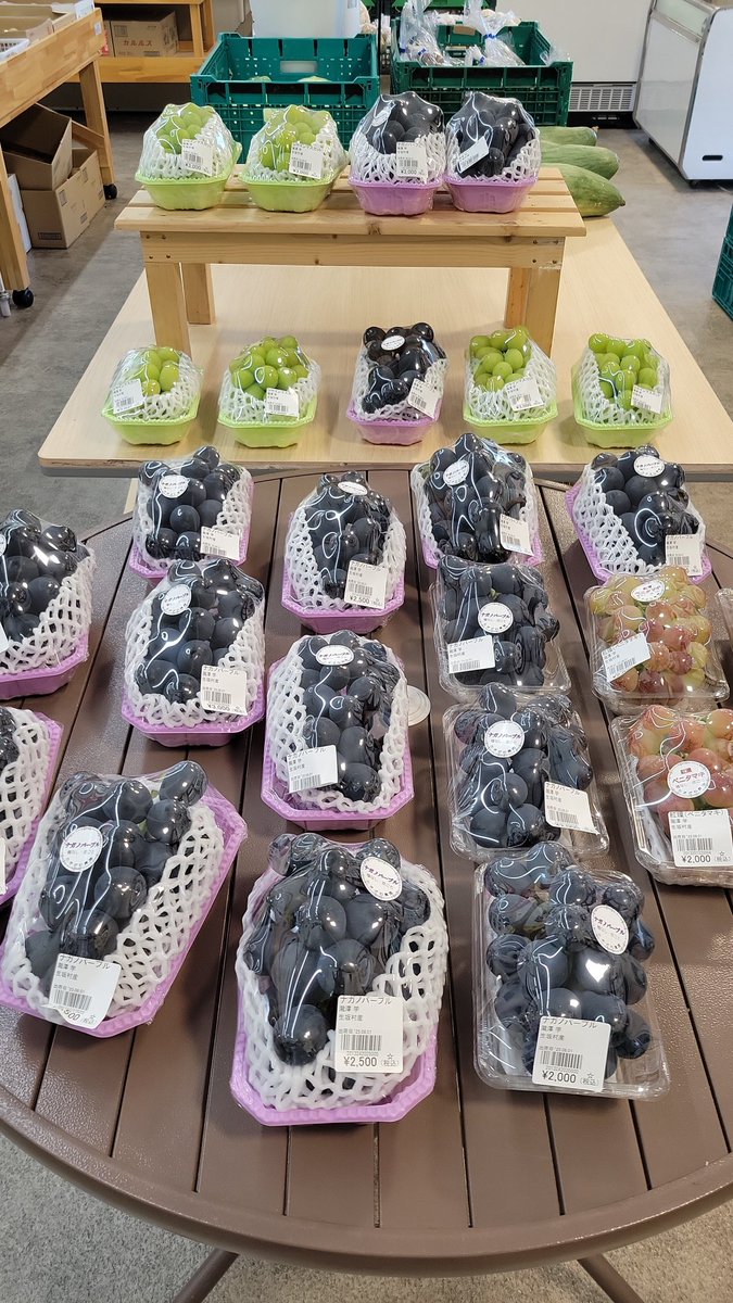 ぶとう - Search / X