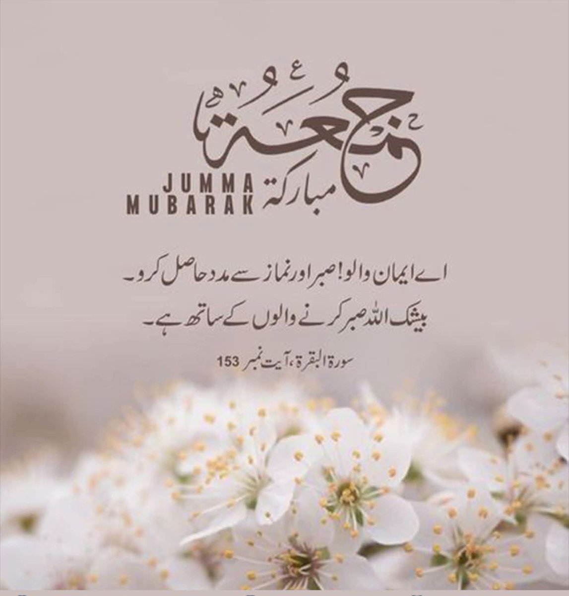 السلام علیکم ورحمتہ اللہ وبرکاتہ صبح بخیر