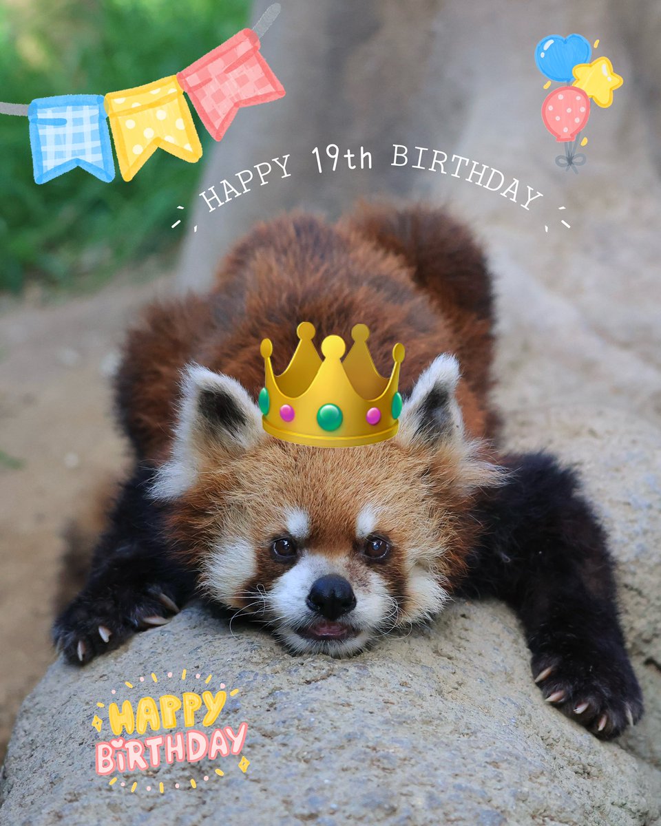 ハミィ (@hamichan831) / Posts / X