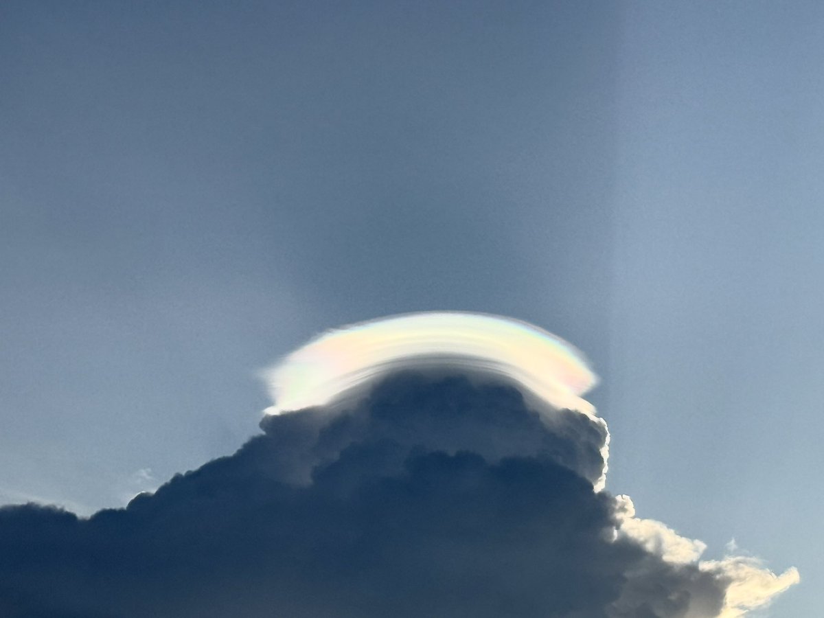 brii 💕 tweet media