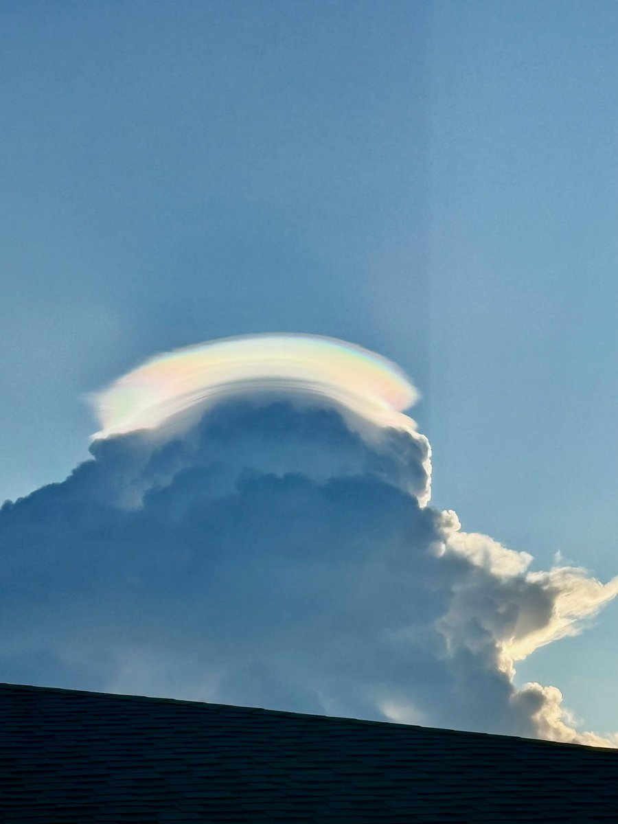 brii 💕 tweet media