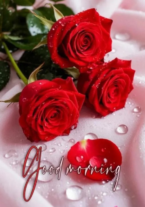 Lovely good morning dear friends