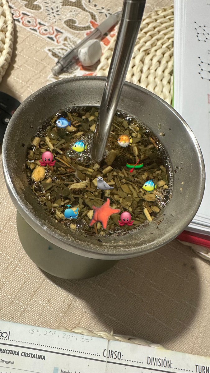 Me comunico con ustedes desde el fondo del mar 🦭