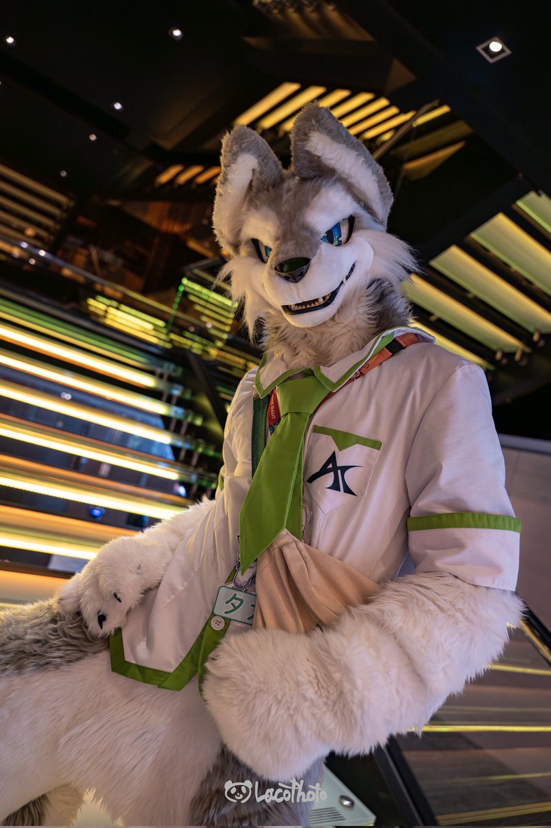 おはようございます✨
📷： <a href="/Lacotot/">Laco🐼📷</a> 
#UTFG2025 #FursuitFriday
