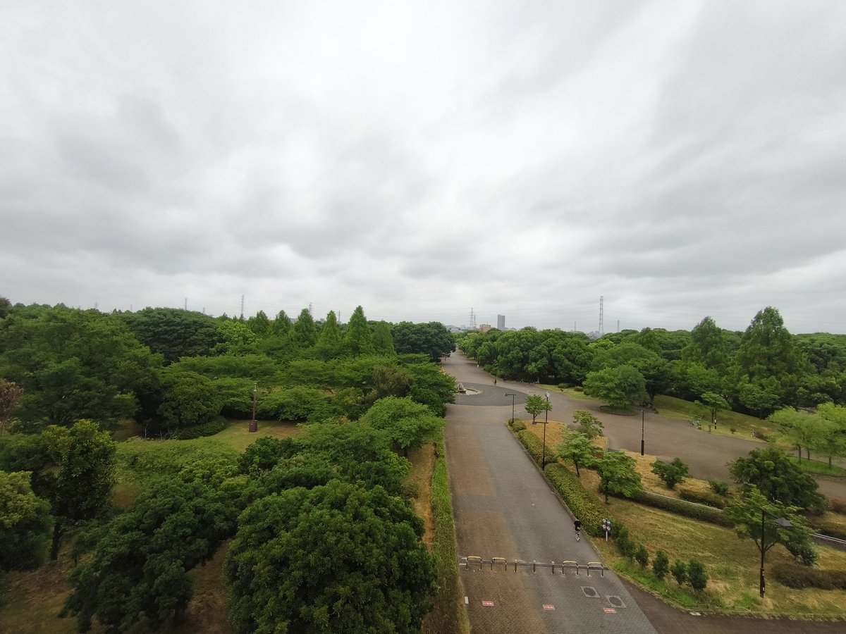 miki_mfb's tweet image. 曇りです☁