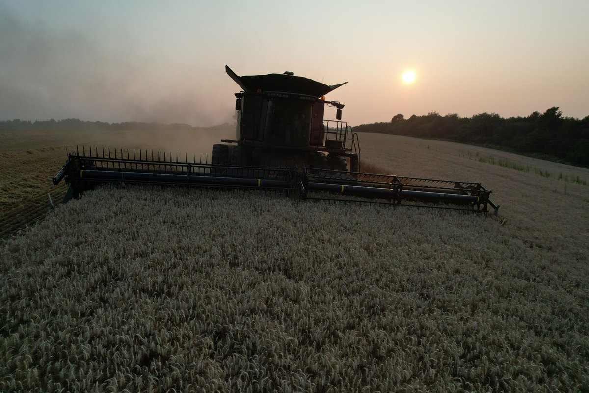Wheat harvest rolls on in the smokey sunset