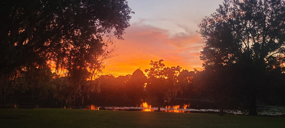 Just looked out my back door and saw this!! 🧡🧡🧡 #Florida #nofilter