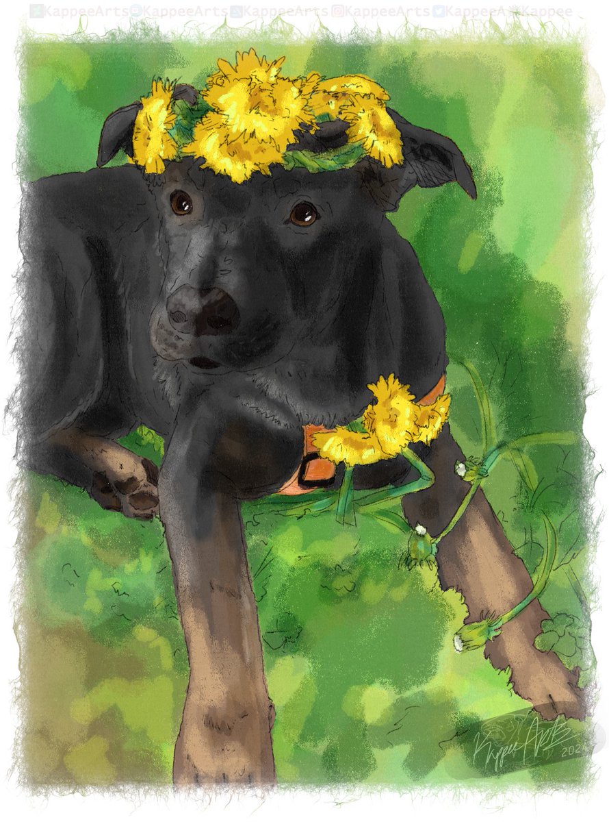 KappeeA's tweet image. For a limited time Im opening a fullbody commission with a background for 45 usd! DM or comment below! Only 1 slot will be sold at this price! #artist #commissionart #salesalesale #deals #cheapprice #Commission