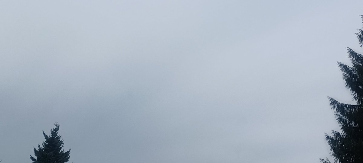 Summer in Oregon! Tomorrow is August 😔