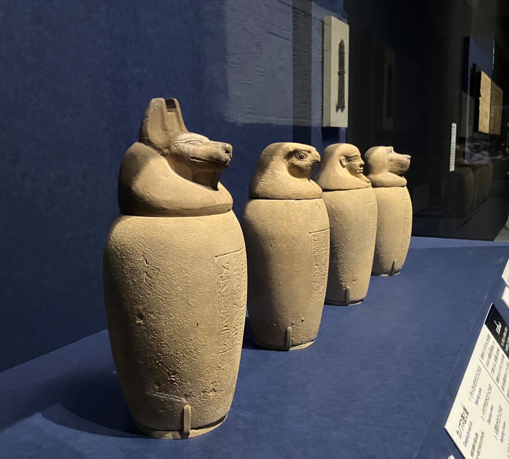 ブルックリン博物館所蔵 特別展 古代エジプト　カノプス壺指人形　4種セット ブルックリン博物館所蔵 特別展 古代エジプト on X: 