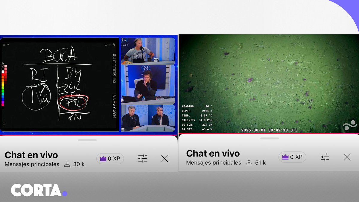 En este momento, el conversatorio entre Javier Milei y Alejandro Fantino en Neura tiene 30 mil espectadores, mientras que el stream de la expedición del Cañón de Mar del Plata de Schmidt Ocean junto al Conicet tiene 51 mil espectadores.